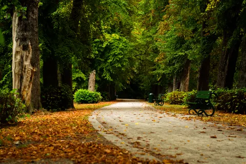 Tapeta Jesienny Park 4K · autumn · 3840×2560