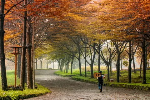 Tapeta Jesienny Park 4K · autumn · 3840×2561