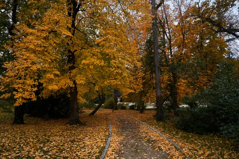 Autumn Park 4K Wallpaper · autumn · 3840×2560