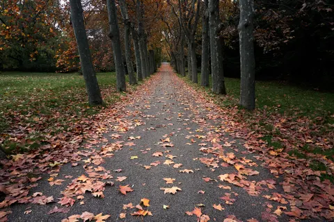 Sfondo Parco Autunnale 4K · autumn · 3840×2560