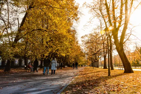 Autumn Park 4K Wallpaper · autumn · 3840×2553