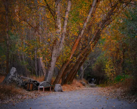 Sfondo Parco Autunnale 4K · autumn · 3840×3072