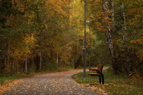 والپیپر پارک پاییزی با کیفیت 4K · autumn · 3840×2560