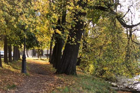 والپیپر پارک پاییزی با کیفیت 4K · autumn · 3840×2560