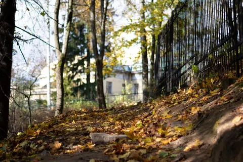 Sfondo Parco Autunnale 4K · autumn · 3840×2560