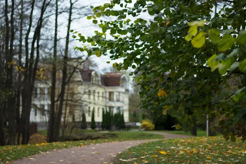 والپیپر پارک پاییزی با کیفیت 4K · autumn · 3840×2560