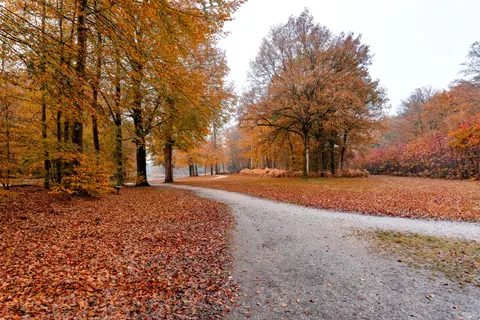 Autumn Park 4K Wallpaper · autumn · 3840×2561