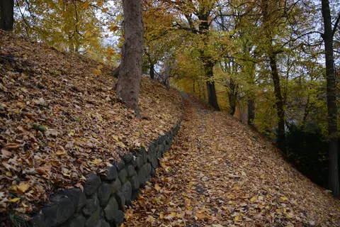 والپیپر پارک پاییزی با کیفیت 4K · autumn · 3840×2560
