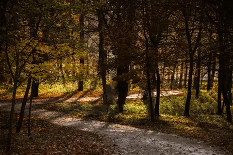 Sfondo Parco Autunnale 4K · autumn · 3840×2560