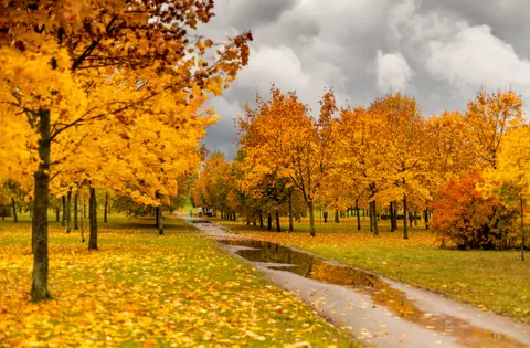 Autumn Park 4K Wallpaper · autumn · 3840×2515