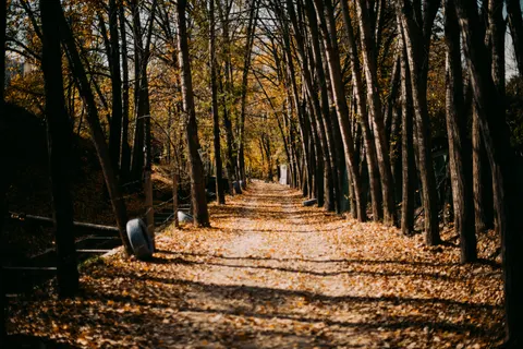 Autumn Park 4K Wallpaper · autumn · 3840×2563