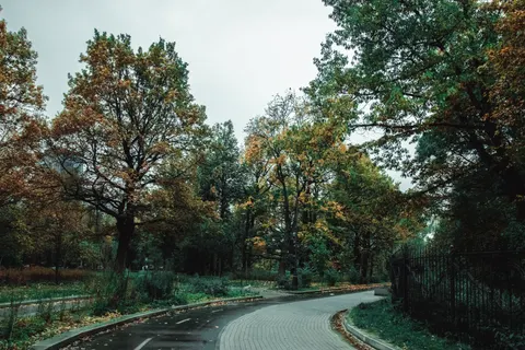 Sfondo Parco Autunnale 4K · autumn · 3840×2560