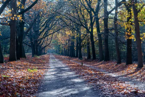 Autumn Park 4K Wallpaper · autumn · 3840×2560