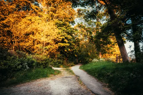 Herbstlicher Park 4K Hintergrundbild · autumn · 3840×2560