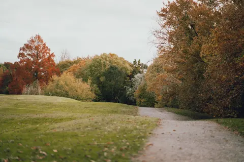 والپیپر پارک پاییزی با کیفیت 4K · autumn · 3840×2560