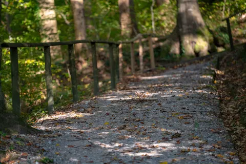 Herbstlicher Park 4K Hintergrundbild · autumn · 3840×2561