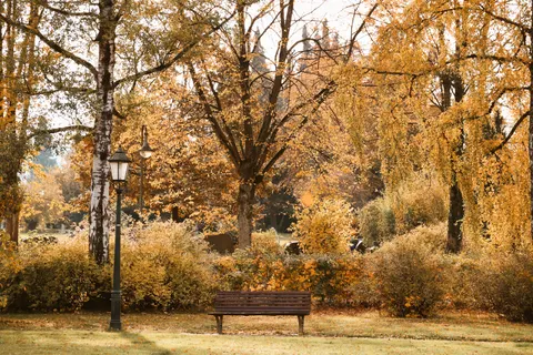 Sfondo Parco Autunnale 4K · autumn · 3840×2560