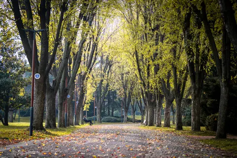 والپیپر پارک پاییزی با کیفیت 4K · autumn · 3840×2560