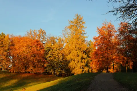 والپیپر پارک پاییزی با کیفیت 4K · autumn · 3840×2560