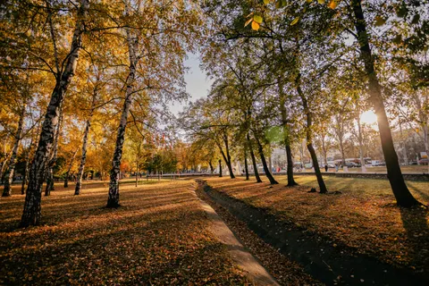 والپیپر پارک پاییزی با کیفیت 4K · autumn · 3840×2560