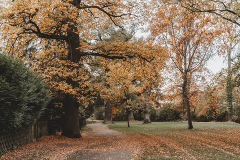 Sfondo Parco Autunnale 4K · autumn · 3840×2560