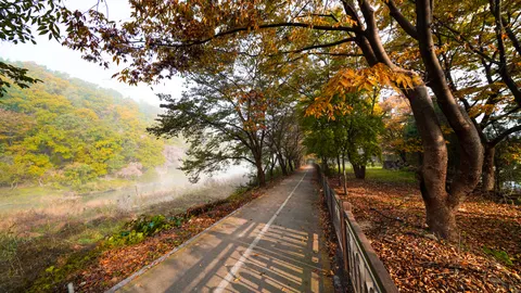 Tapeta Jesienny Park 4K · autumn · 3840×2159