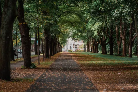 Autumn Park 4K Wallpaper · autumn · 3840×2560