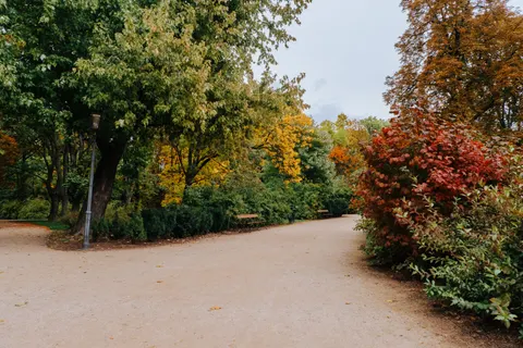 والپیپر پارک پاییزی با کیفیت 4K · autumn · 3840×2560