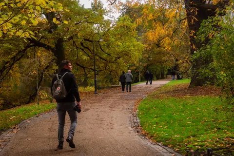 والپیپر پارک پاییزی با کیفیت 4K · autumn · 3840×2560