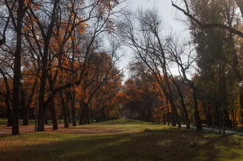 والپیپر پارک پاییزی با کیفیت 4K · autumn · 3840×2553
