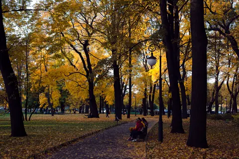 والپیپر پارک پاییزی با کیفیت 4K · autumn · 3840×2560