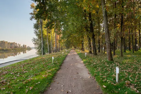 Sfondo Parco Autunnale 4K · autumn · 3840×2563