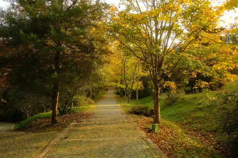 Autumn Park 4K Wallpaper · autumn · 3840×2560