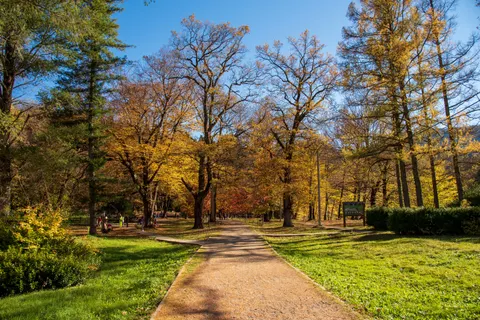 والپیپر پارک پاییزی با کیفیت 4K · autumn · 3840×2563