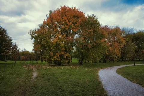 Sfondo Parco Autunnale 4K · autumn · 3840×2560