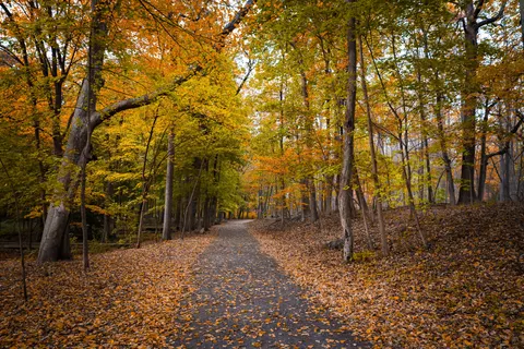 والپیپر پارک پاییزی با کیفیت 4K · autumn · 3840×2560