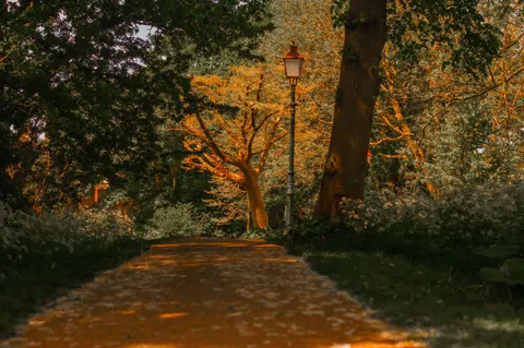 Herbstlicher Park 4K Hintergrundbild · autumn · 3840×2553