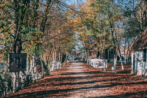 Tapeta Jesienny Park 4K · autumn · 3840×2560