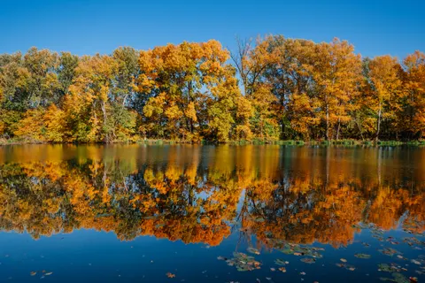 Sonbahar Gölü 4K Duvar Kağıdı · autumn · 3840×2560