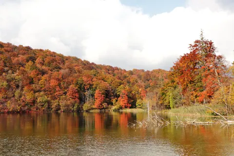 Fondo de pantalla Lago de otono 4K · autumn · 3840×2560