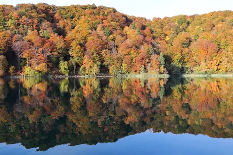 Fondo de pantalla Lago de otono 4K · autumn · 3840×2560