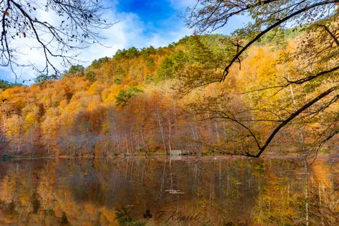 Sonbahar Gölü 4K Duvar Kağıdı · autumn · 3840×2560