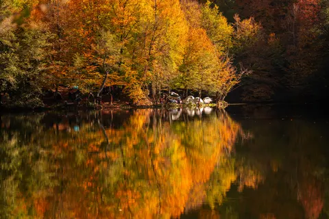 가을 호수 4K 배경화면 · autumn · 3840×2561