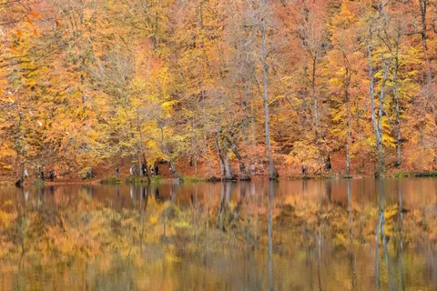 والپیپر دریاچه پاییزی با کیفیت 4K · autumn · 3840×2560