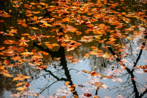 Sonbahar Gölü 4K Duvar Kağıdı · autumn · 3840×2560