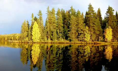 والپیپر دریاچه پاییزی با کیفیت 4K · autumn · 3840×2331