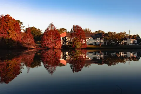 Fondo de pantalla Lago de otono 4K · autumn · 3840×2559