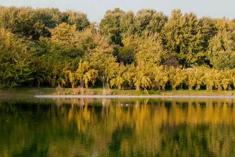 Fond d'écran Lac d'automne 4K · autumn · 3840×2560