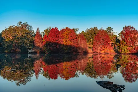 秋の湖 4K壁紙 · autumn · 3840×2560