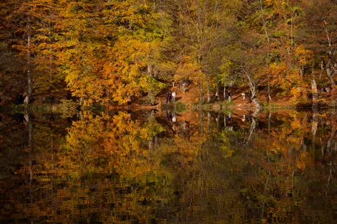 Sonbahar Gölü 4K Duvar Kağıdı · autumn · 3840×2560